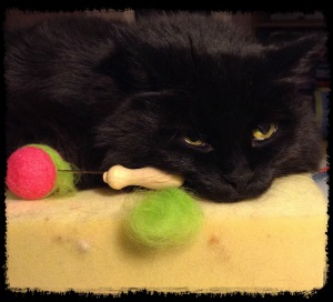 Smudge "helping"