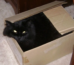 Smudge in a box