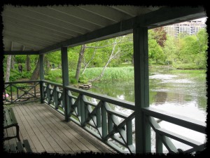Duck House