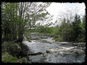 Sheet Harbour